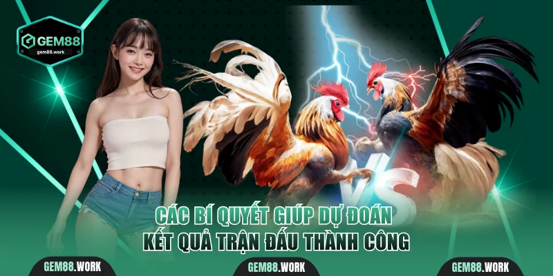 Đá Gà Cựa Dao Gem88 - Cược Kịch Tính Cho Người Đam Mê Các bí quyết giúp dự đoán kết quả trận đấu thành công