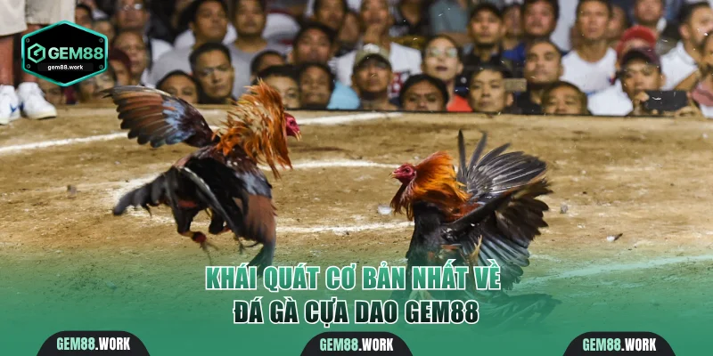 Đá Gà Cựa Dao Gem88 - Cược Kịch Tính Cho Người Đam Mê Khái quát cơ bản nhất về đá gà cựa dao Gem88