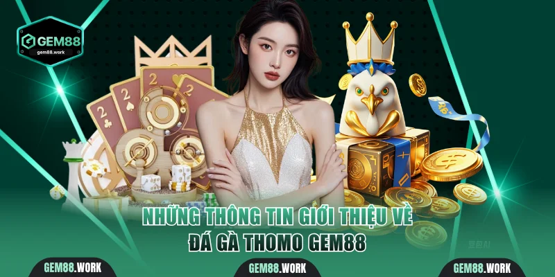 Những thông tin giới thiệu về đá gà Thomo Gem88